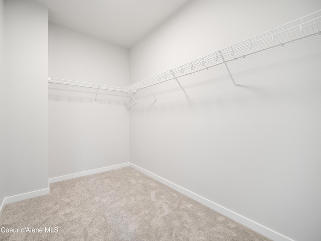 998 E Railroad Ave, Post Falls, ID 83854 - walk in closet with carpet