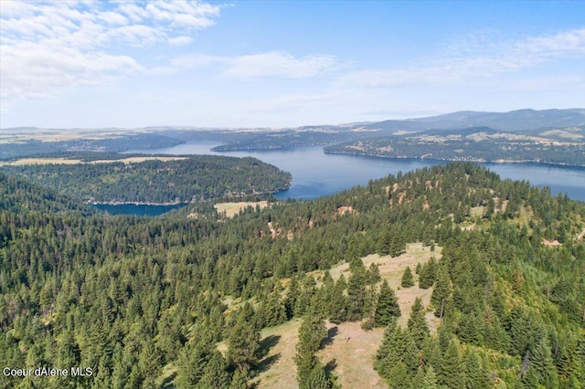 NNA Alamo Rd, Harrison, ID 83833 - photo 2