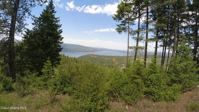 NNA Alamo Rd, Harrison, ID 83833 - photo 4