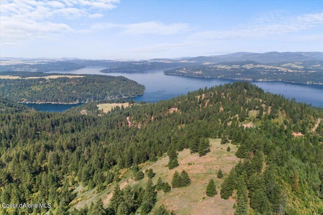 NNA Alamo Rd, Harrison, ID 83833 - photo 5