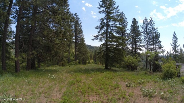 NNA Alamo Rd, Harrison, ID 83833 - photo 7