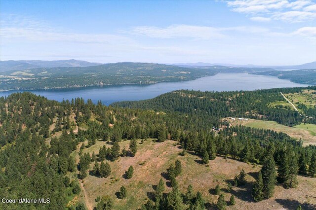 NNA Alamo Rd, Harrison, ID 83833 - photo 9