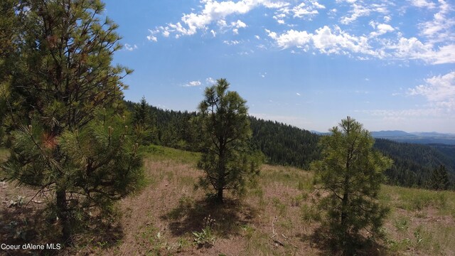 NNA Alamo Rd, Harrison, ID 83833 - photo 10