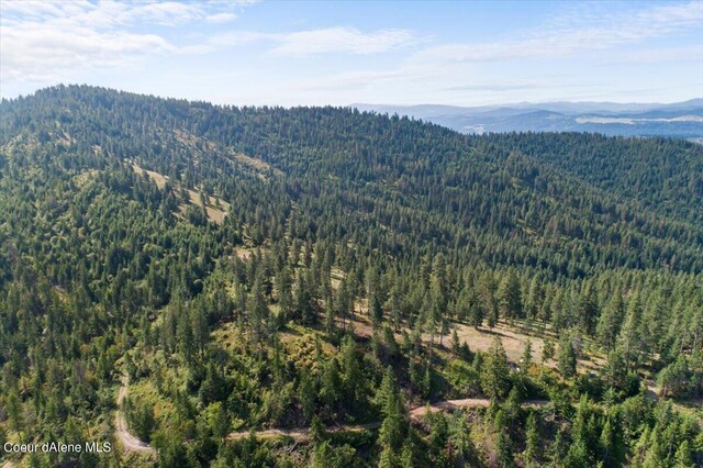 NNA Alamo Rd, Harrison, ID 83833 - photo 11