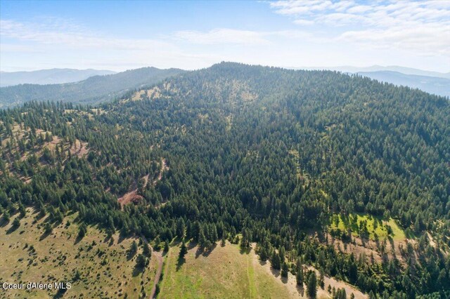 NNA Alamo Rd, Harrison, ID 83833 - photo 13
