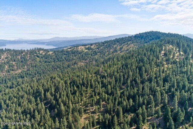 NNA Alamo Rd, Harrison, ID 83833 - photo 14