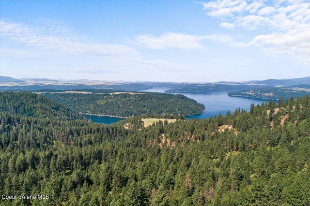 NNA Alamo Rd, Harrison, ID 83833 - photo 15