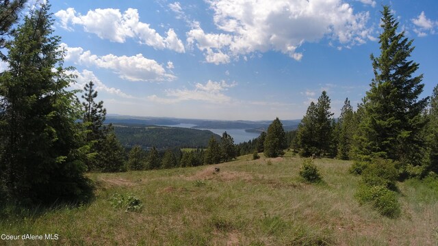 NNA Alamo Rd, Harrison, ID 83833 - photo 16