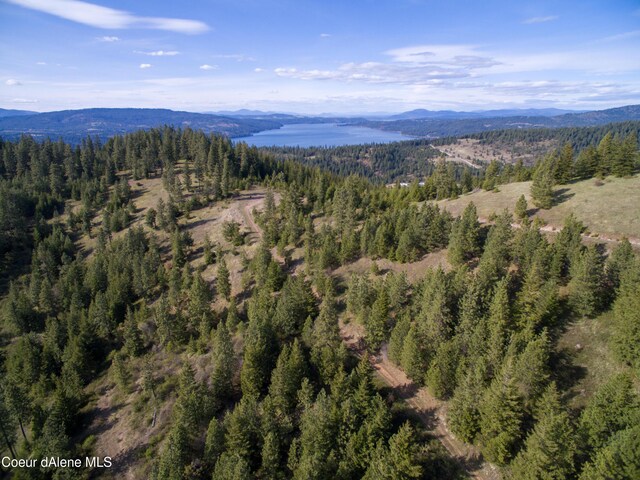NNA Alamo Rd, Harrison, ID 83833 - photo 17