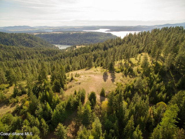 NNA Alamo Rd, Harrison, ID 83833 - photo 18