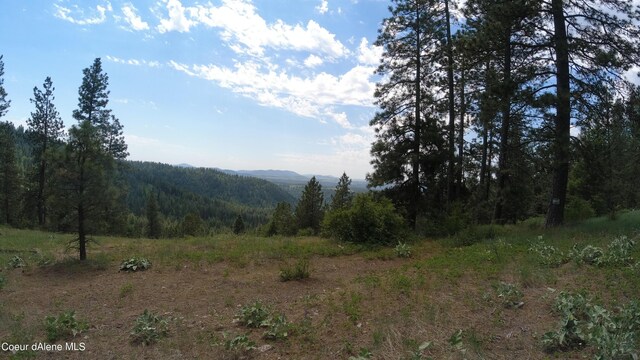 NNA Alamo Rd, Harrison, ID 83833 - photo 19
