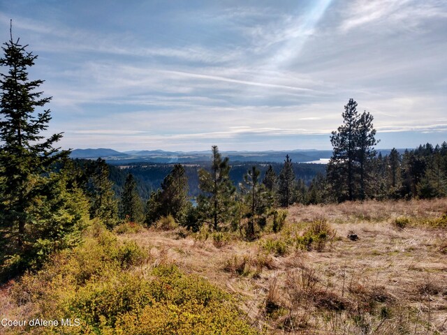 NNA Alamo Rd, Harrison, ID 83833 - photo 20