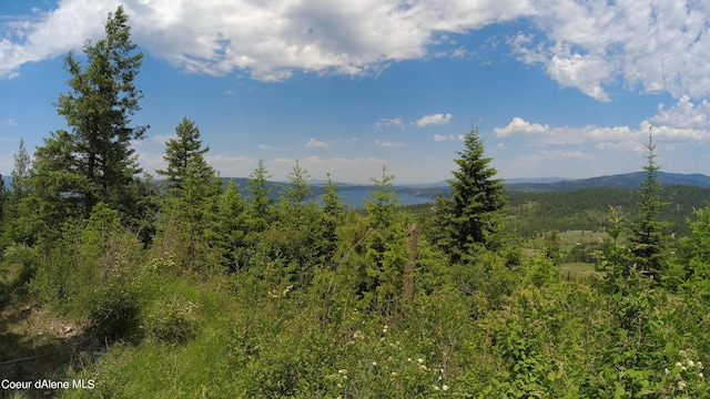 NNA Alamo Rd, Harrison, ID 83833 - photo 21