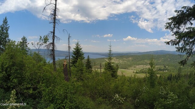 NNA Alamo Rd, Harrison, ID 83833 - photo 22