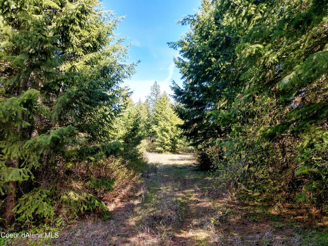 NNA Alamo Rd, Harrison, ID 83833 - photo 23