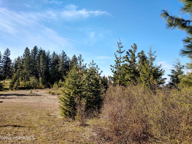 NNA Alamo Rd, Harrison, ID 83833 - photo 24