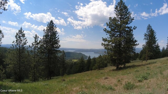 NNA Alamo Rd, Harrison, ID 83833 - photo 27