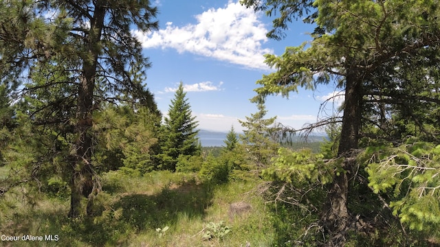 NNA Alamo Rd, Harrison, ID 83833 - photo 28