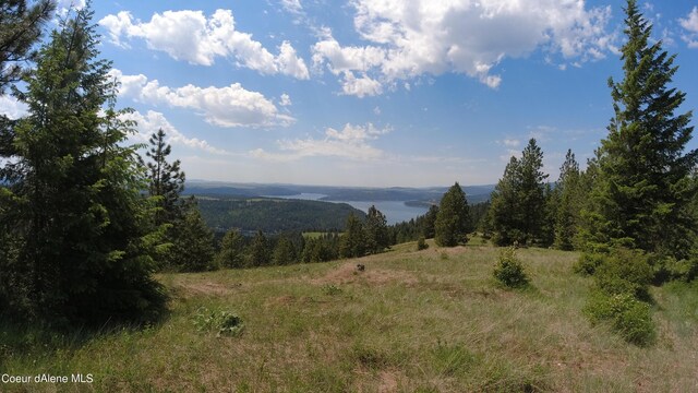 NNA Alamo Rd, Harrison, ID 83833 - photo 29