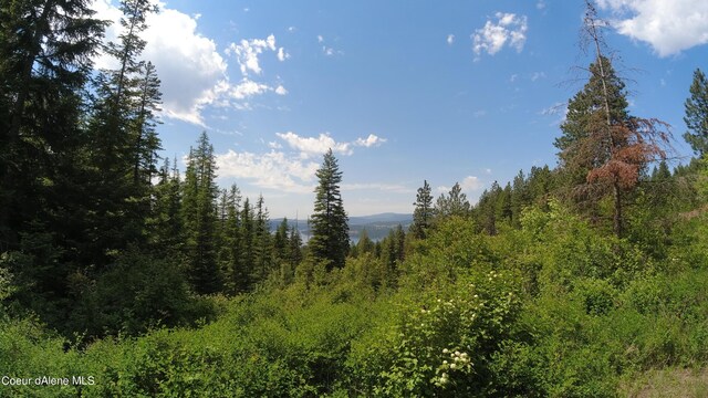NNA Alamo Rd, Harrison, ID 83833 - photo 30