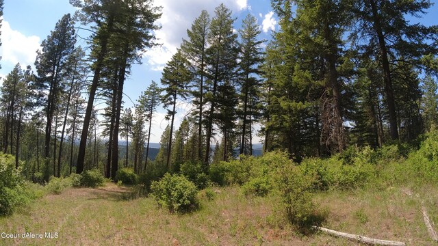 NNA Alamo Rd, Harrison, ID 83833 - photo 31