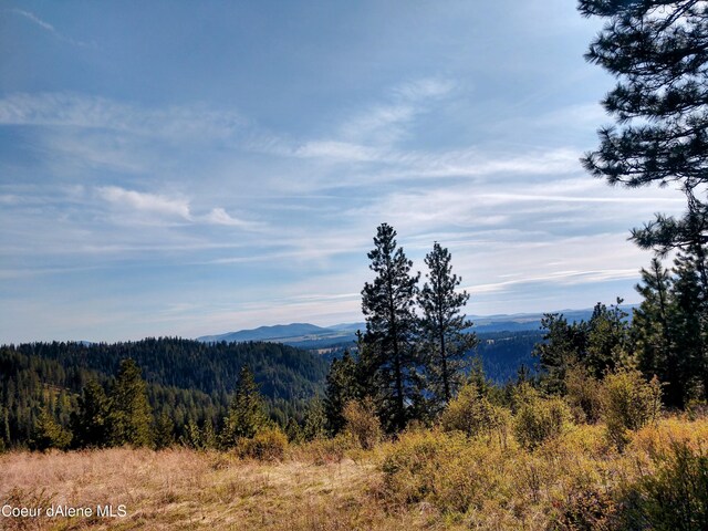 NNA Alamo Rd, Harrison, ID 83833 - photo 32