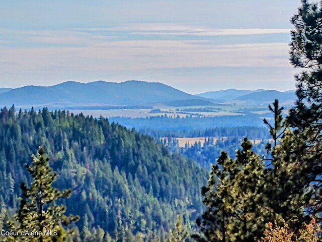 NNA Alamo Rd, Harrison, ID 83833 - photo 33