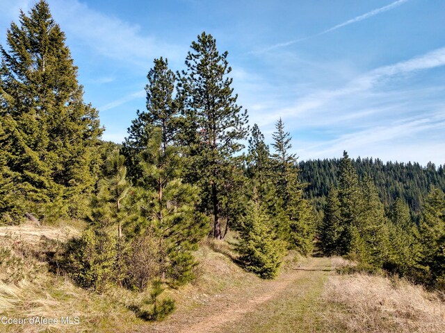 NNA Alamo Rd, Harrison, ID 83833 - photo 34