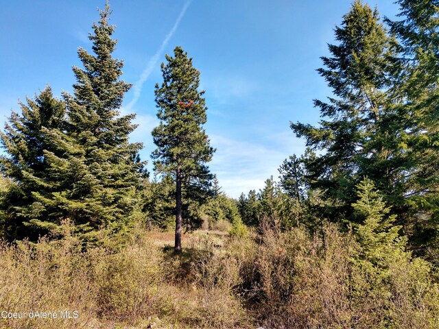 NNA Alamo Rd, Harrison, ID 83833 - photo 36