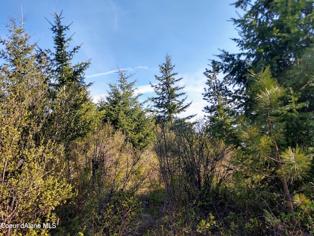 NNA Alamo Rd, Harrison, ID 83833 - photo 38