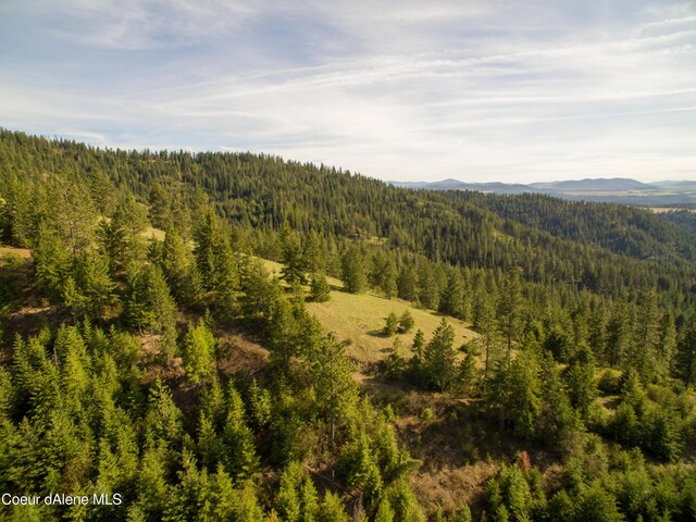 NNA Alamo Rd, Harrison, ID 83833 - photo 39