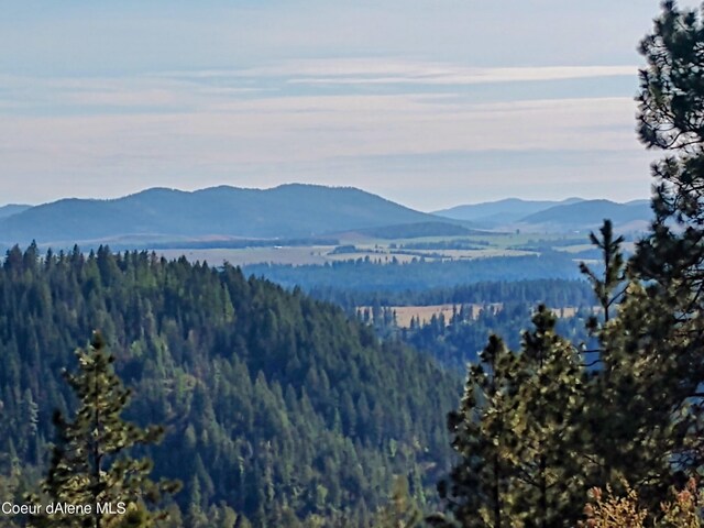 NNA Alamo Rd, Harrison, ID 83833 - photo 40