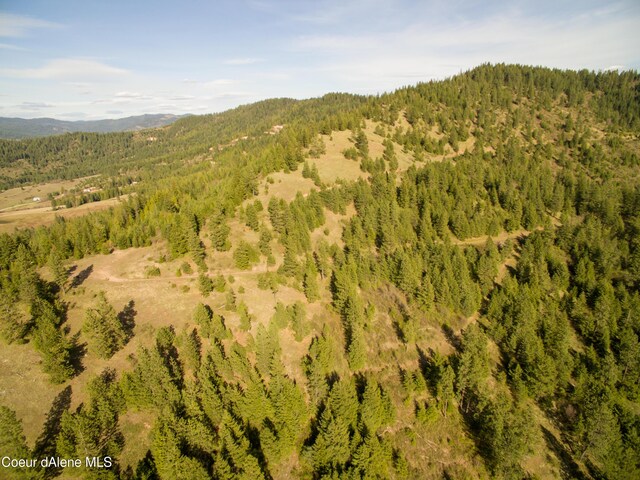 NNA Alamo Rd, Harrison, ID 83833 - photo 41