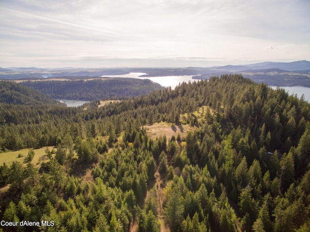 NNA Alamo Rd, Harrison, ID 83833 - photo 42