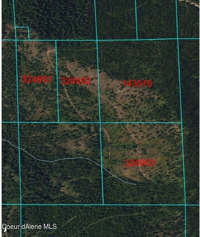 NNA Alamo Rd, Harrison, ID 83833 - photo 43