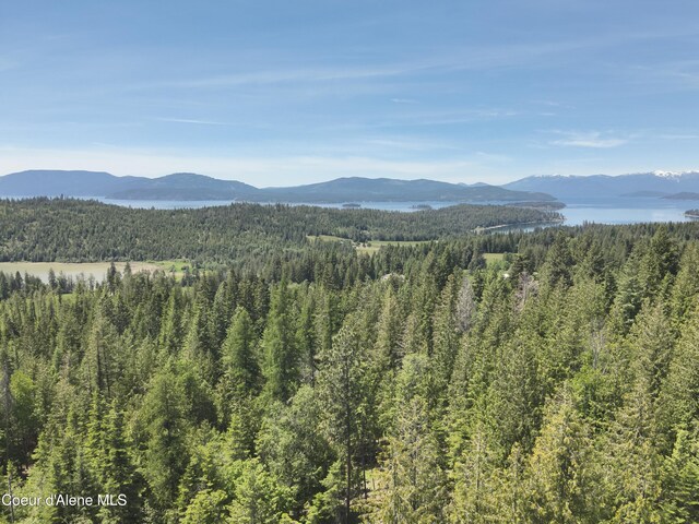 191 Sunset View Ln, Hope, ID 83836 - photo 8