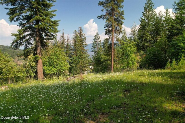 661 Midas Dr, Sagle, ID 83860 - photo 4