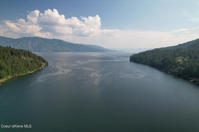 661 Midas Dr, Sagle, ID 83860 - photo 9