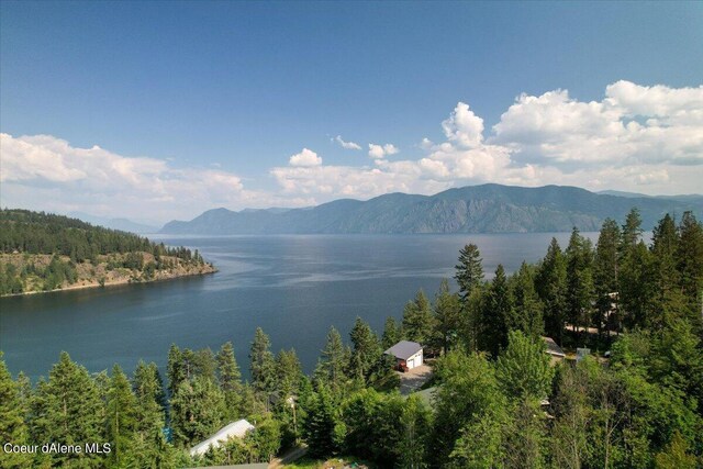 661 Midas Dr, Sagle, ID 83860 - photo 10
