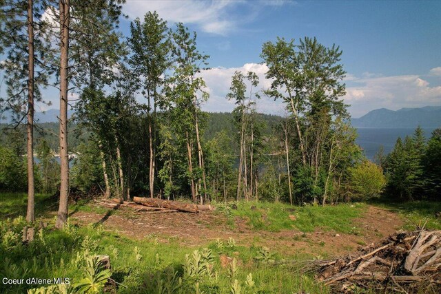 661 Midas Dr, Sagle, ID 83860 - photo 14