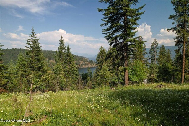 661 Midas Dr, Sagle, ID 83860 - photo 15