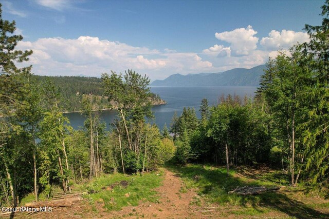 661 Midas Dr, Sagle, ID 83860 - photo 16