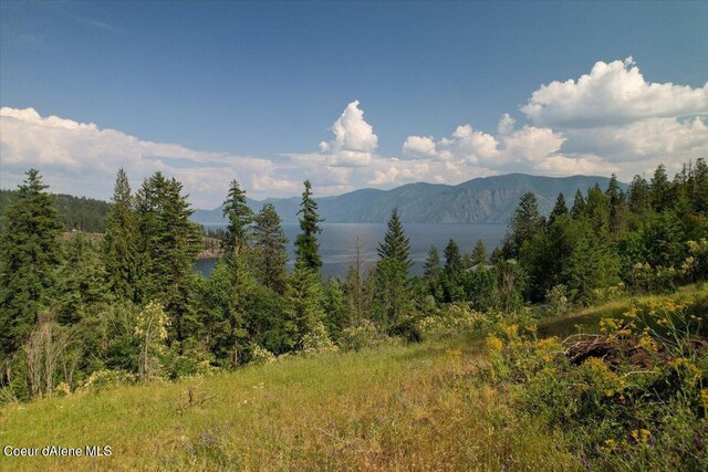 661 Midas Dr, Sagle, ID 83860 - photo 17