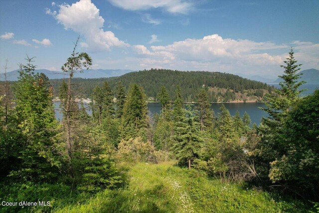 661 Midas Dr, Sagle, ID 83860 - photo 20