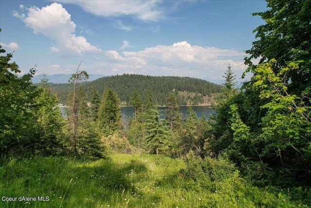 661 Midas Dr, Sagle, ID 83860 - photo 21