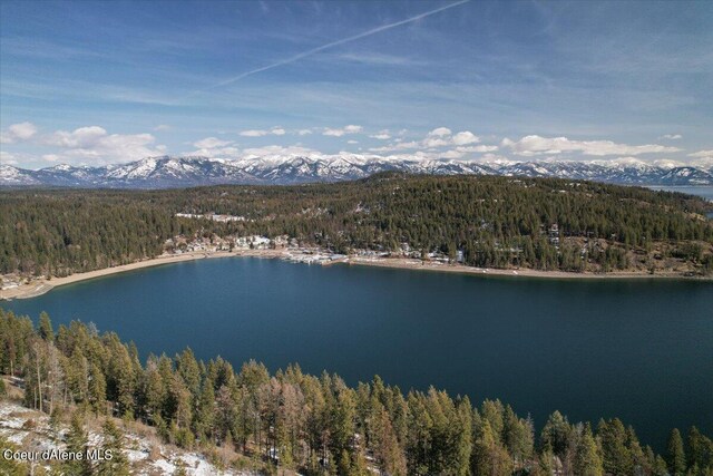 661 Midas Dr, Sagle, ID 83860 - photo 33