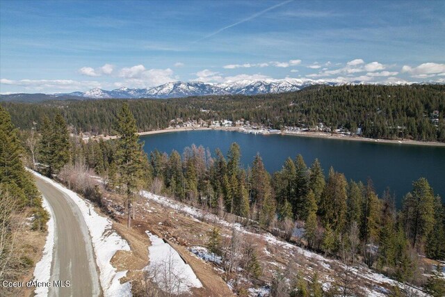 661 Midas Dr, Sagle, ID 83860 - photo 34
