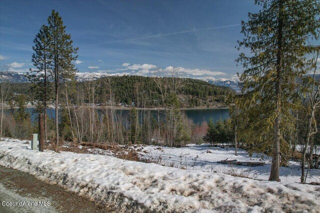661 Midas Dr, Sagle, ID 83860 - photo 35
