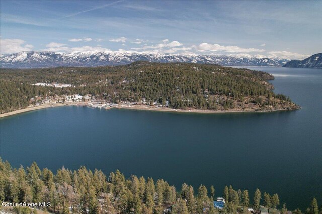 661 Midas Dr, Sagle, ID 83860 - photo 39