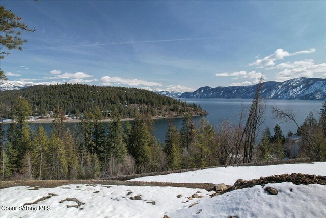 661 Midas Dr, Sagle, ID 83860 - photo 41